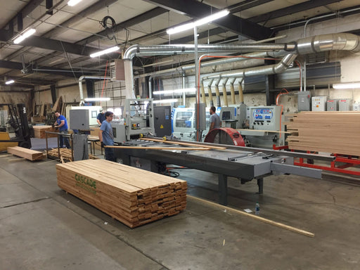 Cameron Automation #411A- Skew Rip System